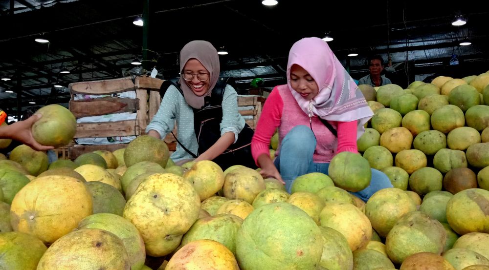 Rombongan wisatawan memborong buah di PIOS