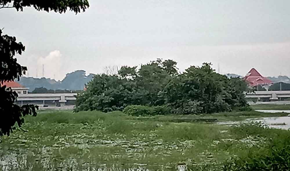 Gemuk atau Bal Gending di wilayah Desa Banjarsari Kecamatan Cerme, Gresik