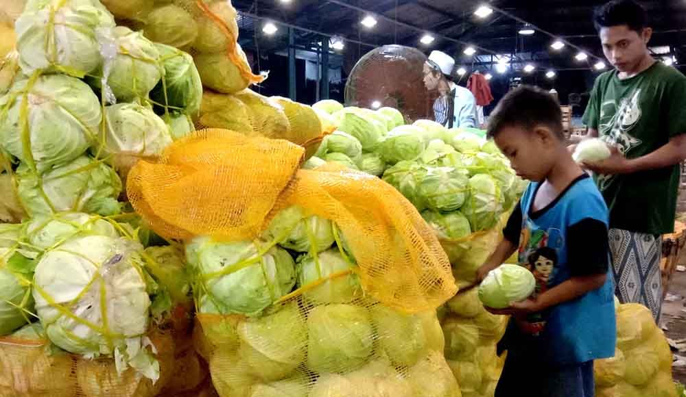 Pengunjung membeli kubis segar di PIOS