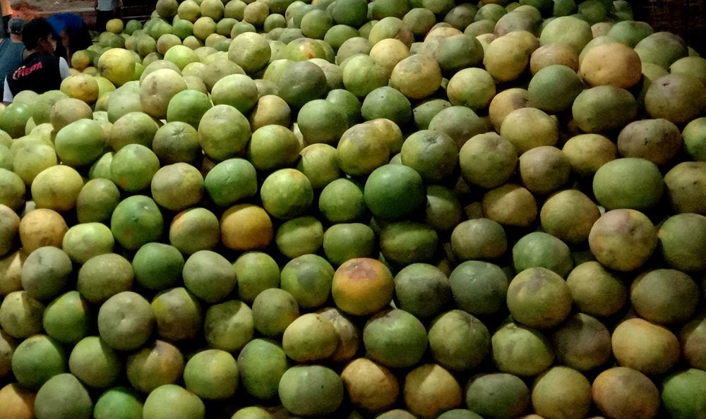 Stok Buah dan Sayur Segar di PIOS Dipastikan Aman Selama Masa PSBB