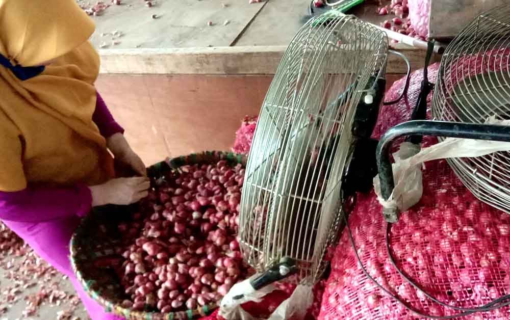 Pedagang bawang merah di PIOS