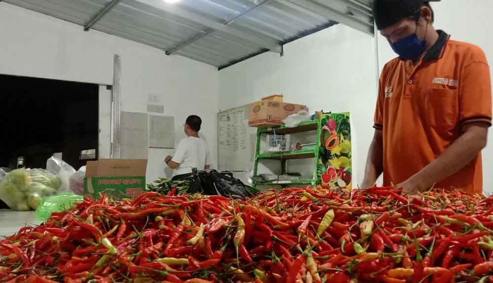 Didukung Tim Quality Control, carisayur.com Berikan Produk Berkualitas