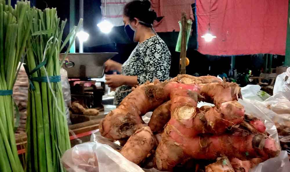 Tingkatkan Kesuburan hingga Cegah Kanker, Lengkuas Melimpah di PIOS