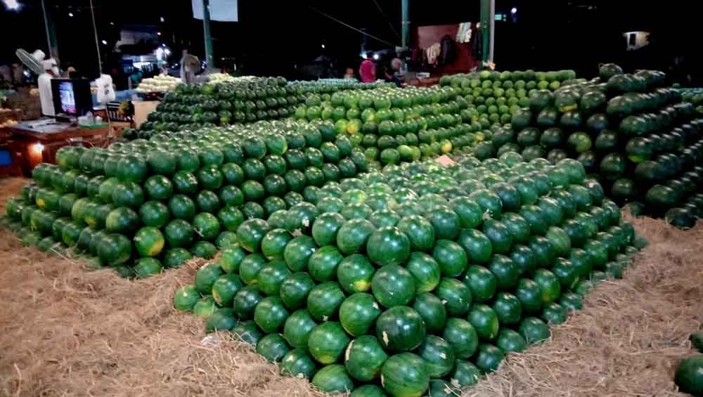 Stok buah semangka melimpah di PIOS