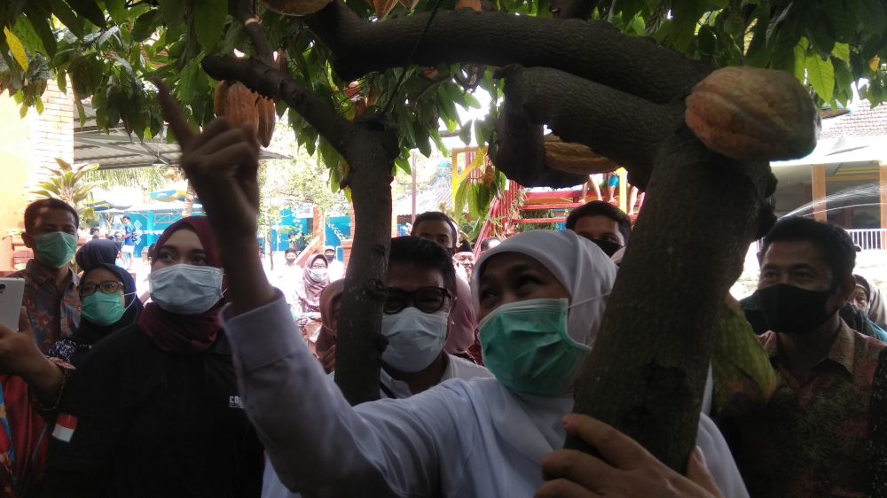 Gubernur Khofifah kunjungi Kampung Coklat Mojokerto