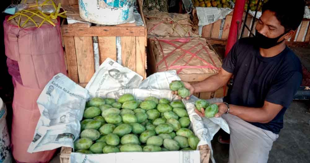 Buah mangga tetap tersedia di PIOS