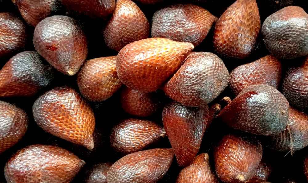 Buah salak yang tersedia di PIOS