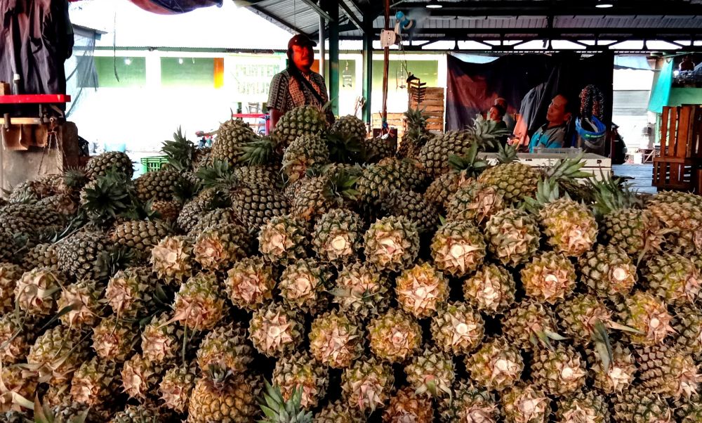 Buah nanas dari Kediri dan Blitar di PIOS