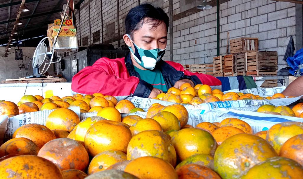 Buah jeruk Bali di PIOS