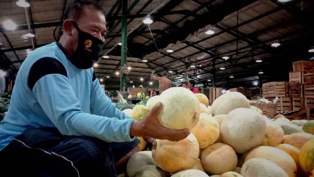 Buah melon sunrise melimpah di PIOS