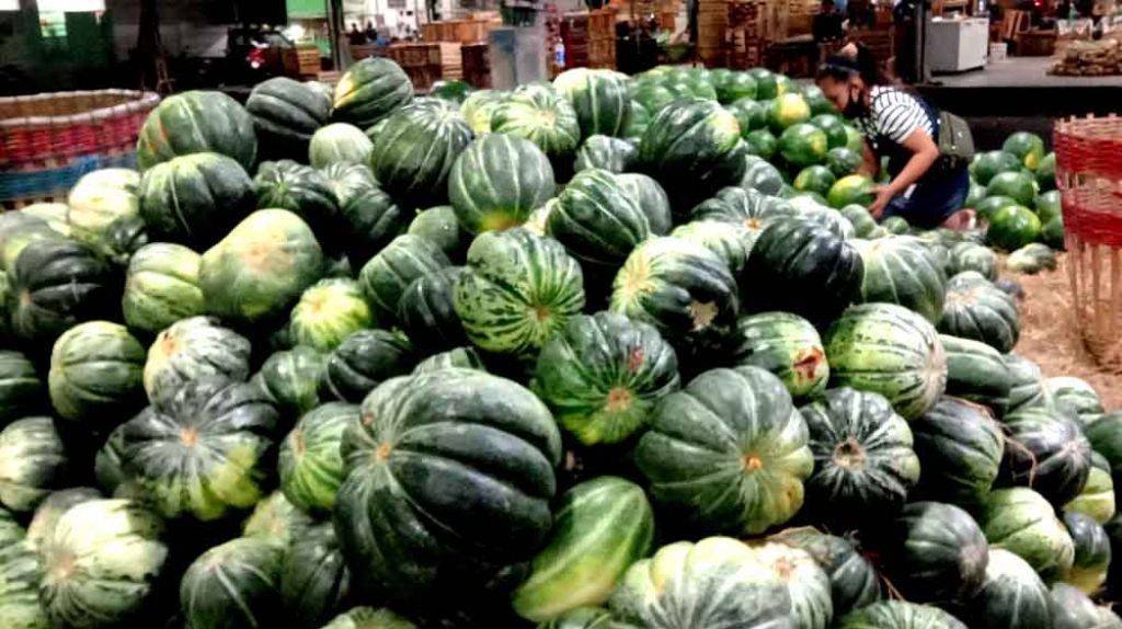 Buah blewah melimpah di PIOS