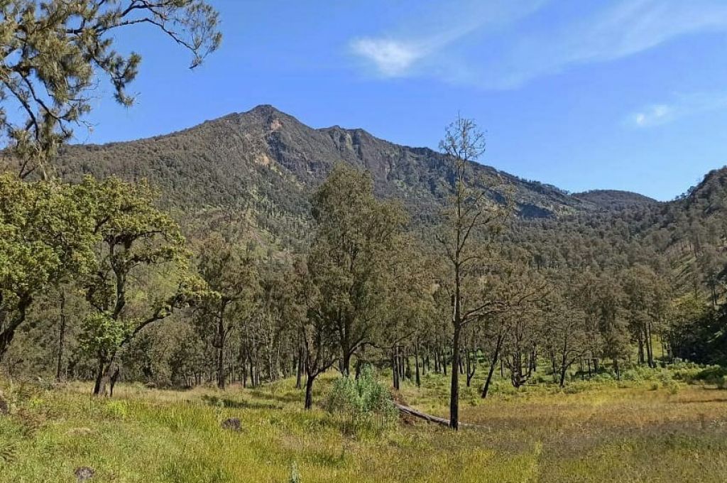 Gunung Welirang-Arjuno (foto dokumen)