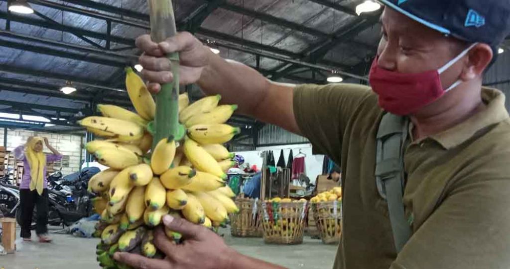 Pisang Barlin tersedia di PIOS