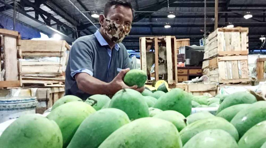 Buah mangga harum manis melimpah di PIOS