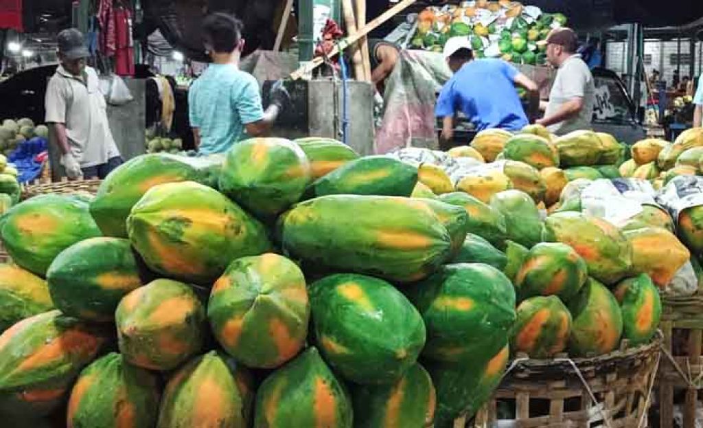 Pedagang buah pepaya di PIOS