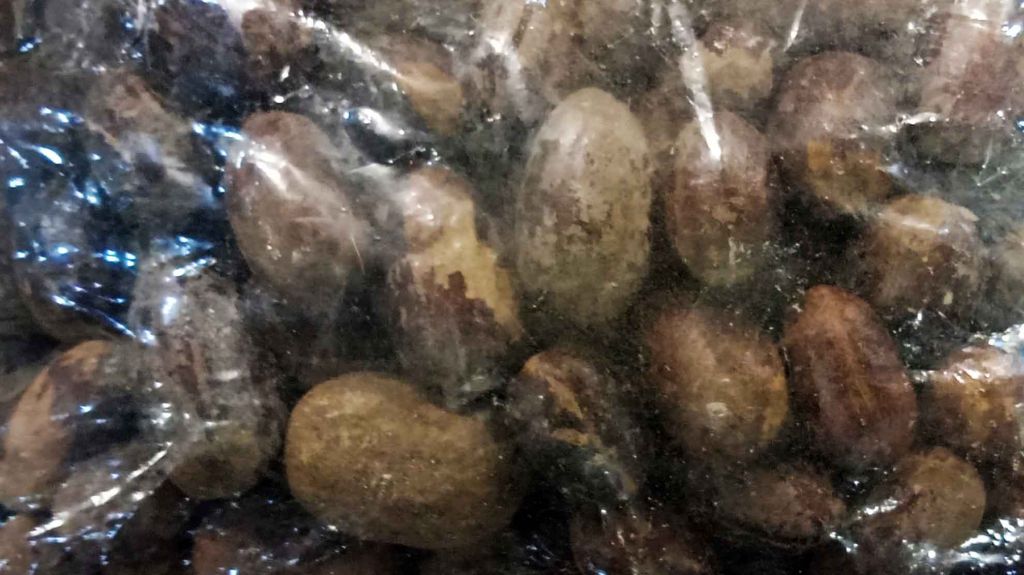 Pala Lonjong Kocak Berkualitas Ekspor Tersedia di PIOS