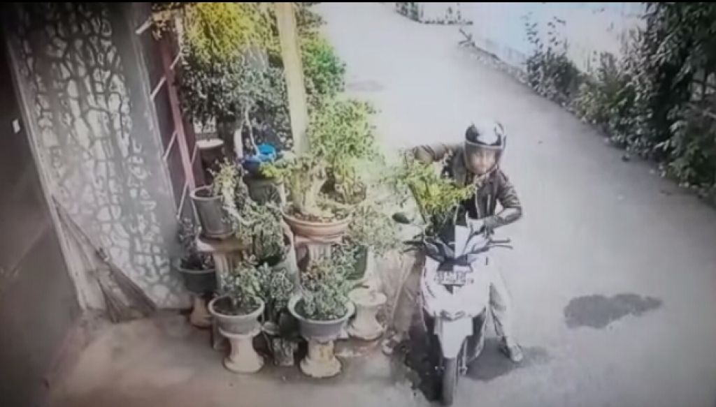 Pencuri bonsai yang terekam CCTV