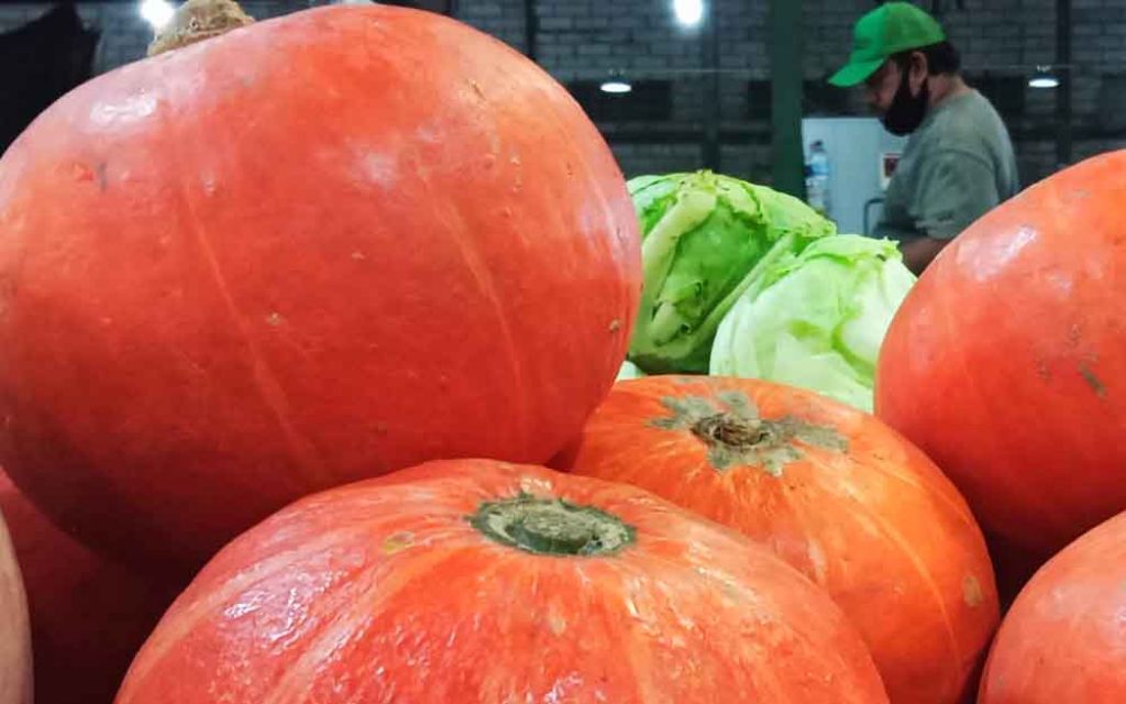 Labu Kabocha di PIOS