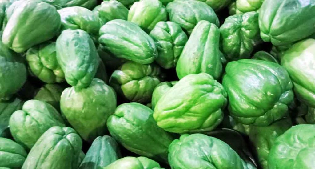 Bermanfaat Bagi Wanita Hamil, Labu Siam Segar Tersedia di PIOS