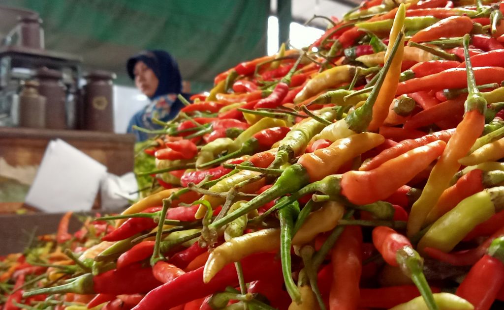 Cabai rawit yang dijual salah satu pedagang di PIOS
