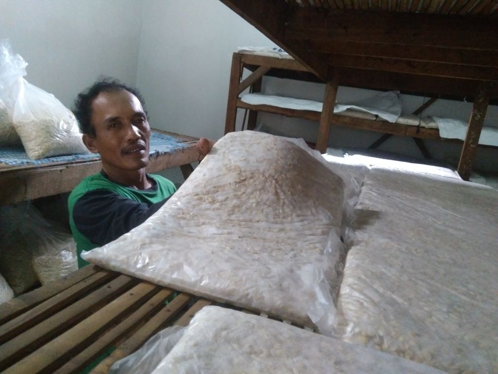 Produsen Tempe Probolinggo Bertahan di Tengah Naiknya Harga Kedelai