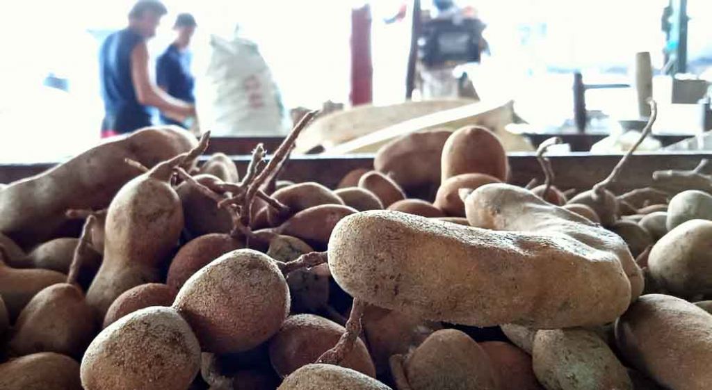 Asam Jawa tersedia di PIOS