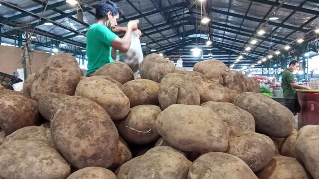 Kentang dari petani Tengger tersedia di PIOS