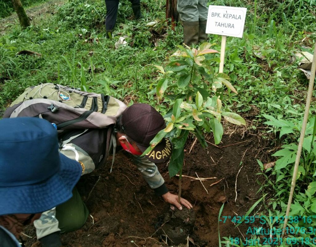 Tim Tahura Raden Soerjo menanam pohon di Arjuno-Welirang