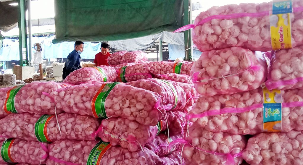 Harga bawang putih di PIOS masih stabil