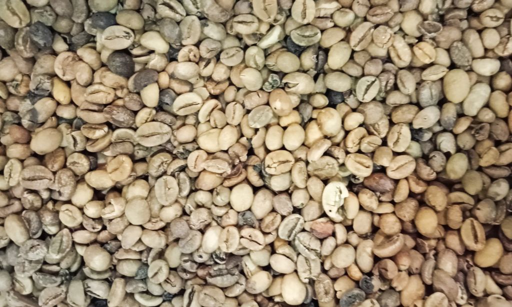 Biji kopi yang dijual salah satu pedagang di PIOS