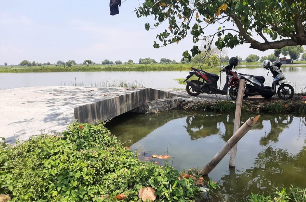Penampakan jembatan desa di Gresik yang dibangun dengan anggaran Rp 200 juta 