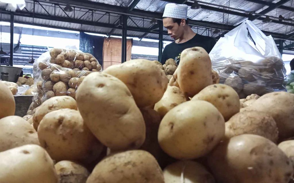 Kentang ukuran jumbo tersedia di PIOS
