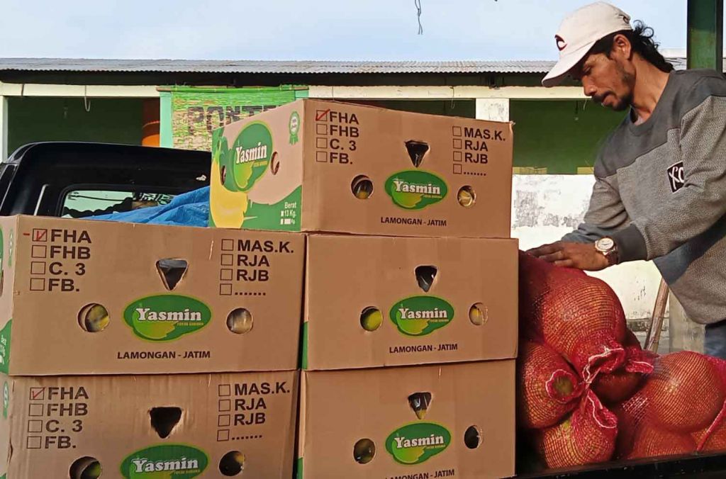 Pedagang pasar tradisional mengambil buah dan Pisang Cavendish di PIOS