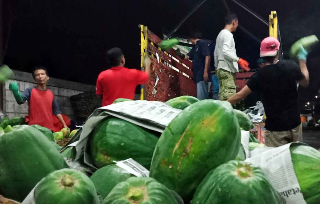 Aktivitas bongkar muat buah pepaya di PIOS