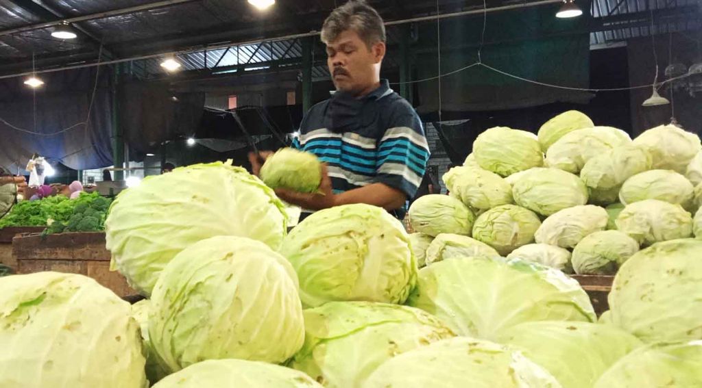 Pedagang PIOS Terima Kubis Segar Berkualitas dari Petani Tengger