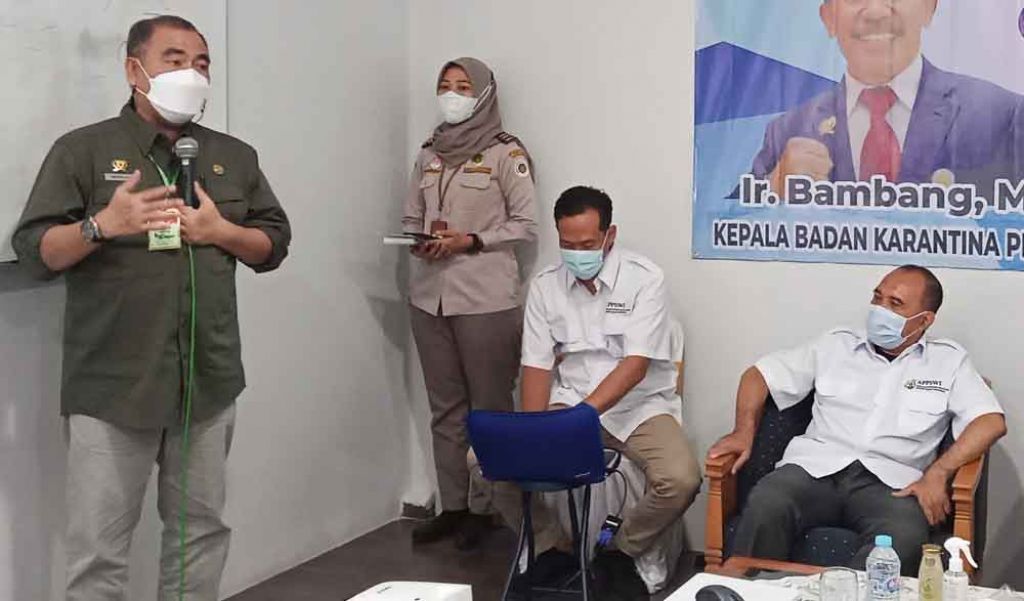 Peternak Sarang Burung Walet Indonesia Kesulitan Ekspor ke China