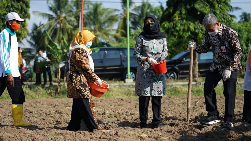 Petani Tanaman Pangan Banyuwangi Digelontor Bantuan 582 Ton Benih Berkualitas