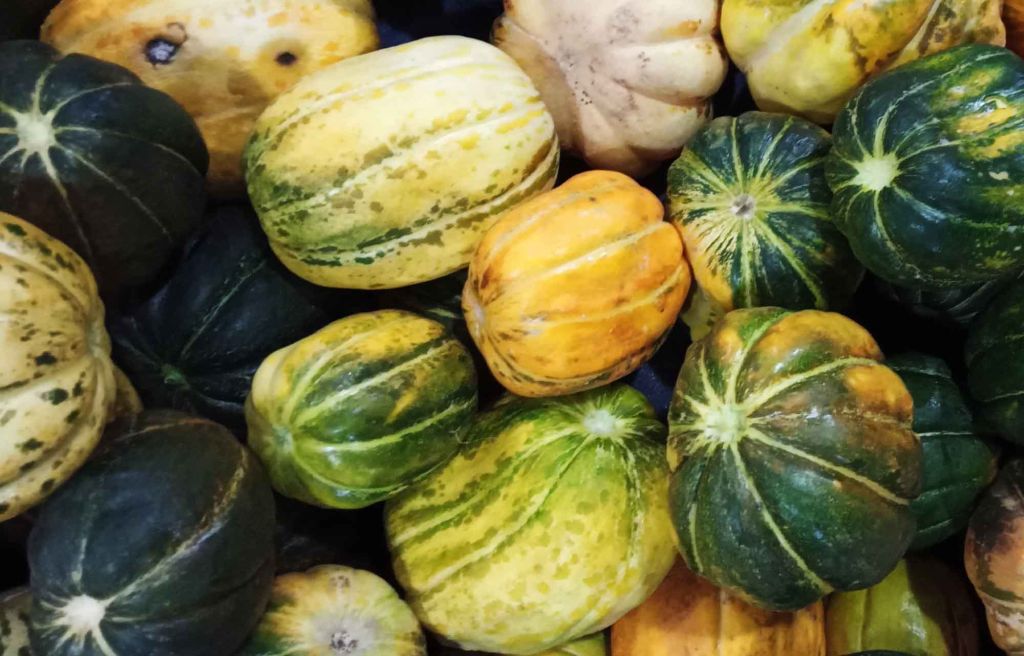 Jadi Favorit, Penjualan Buah Blewah di PIOS Meningkat Pada Musim Kemarau