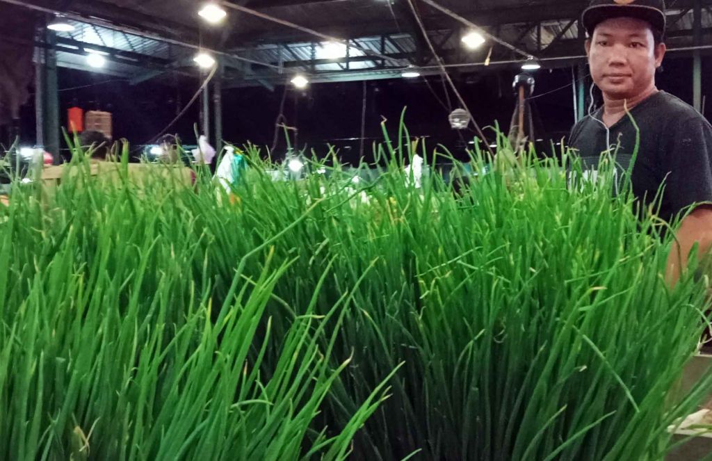 Pedagang bawang daun di PIOS