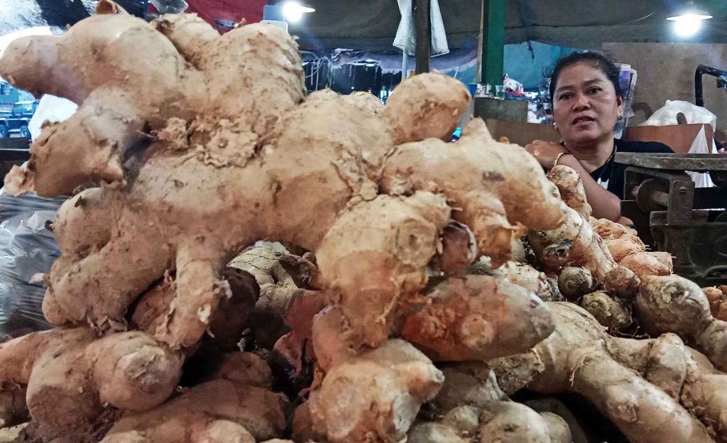 Pedagang PIOS tunjukkan jahe Ponorogo