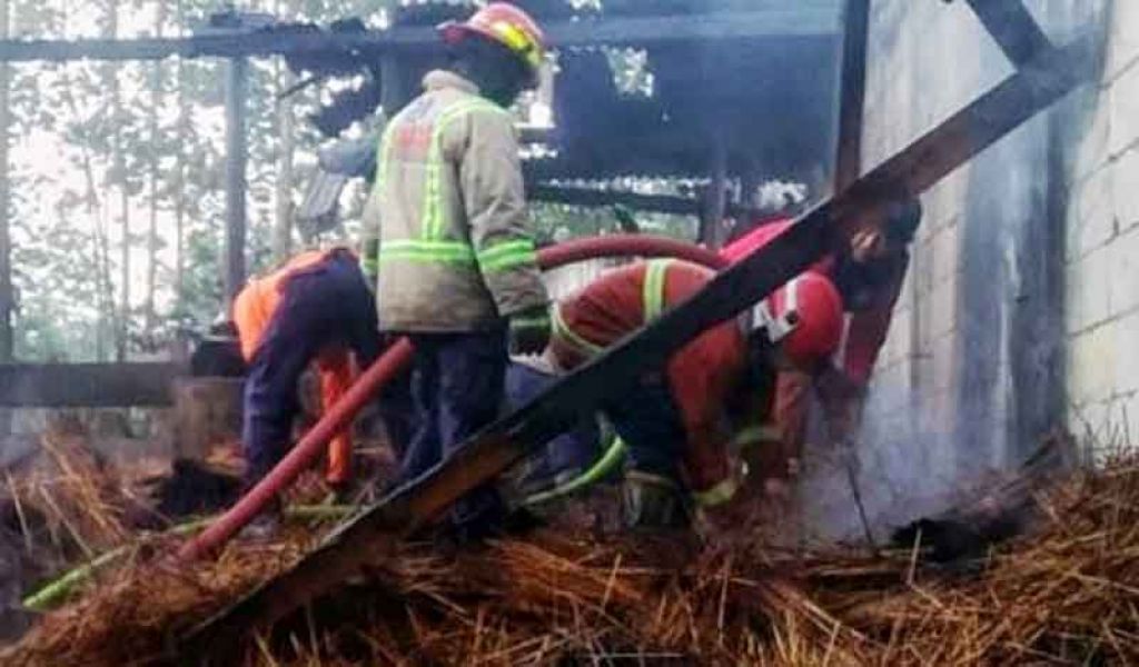 Petugas PMK padamkan api yang membakar pabrik tusuk sate