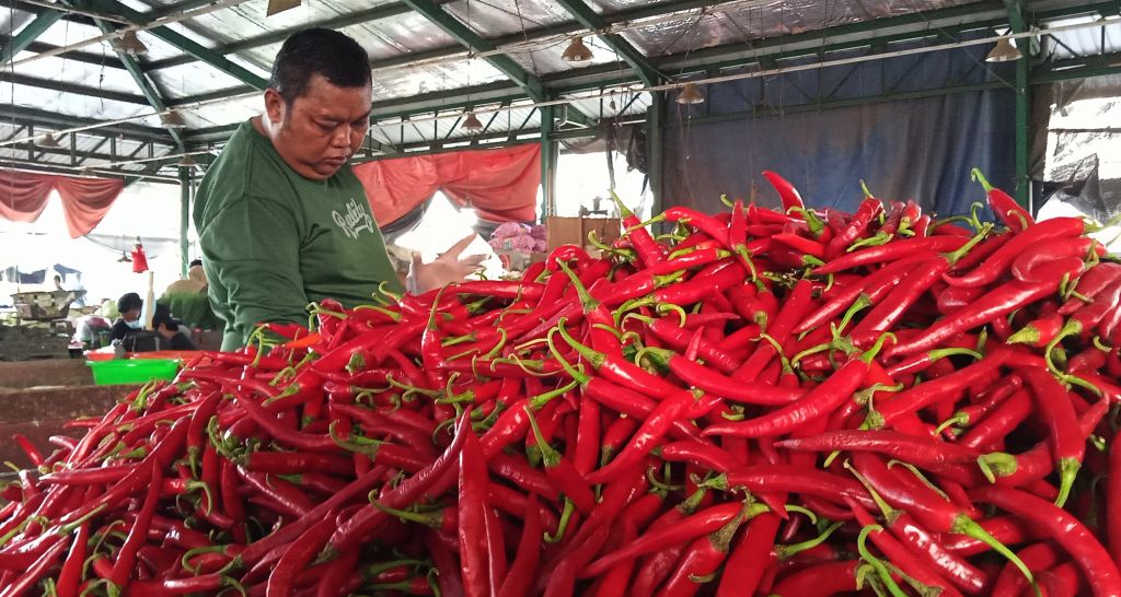 Cabai asal Bojonegoro yang dijual di salah satu lapak pedagang PIOS