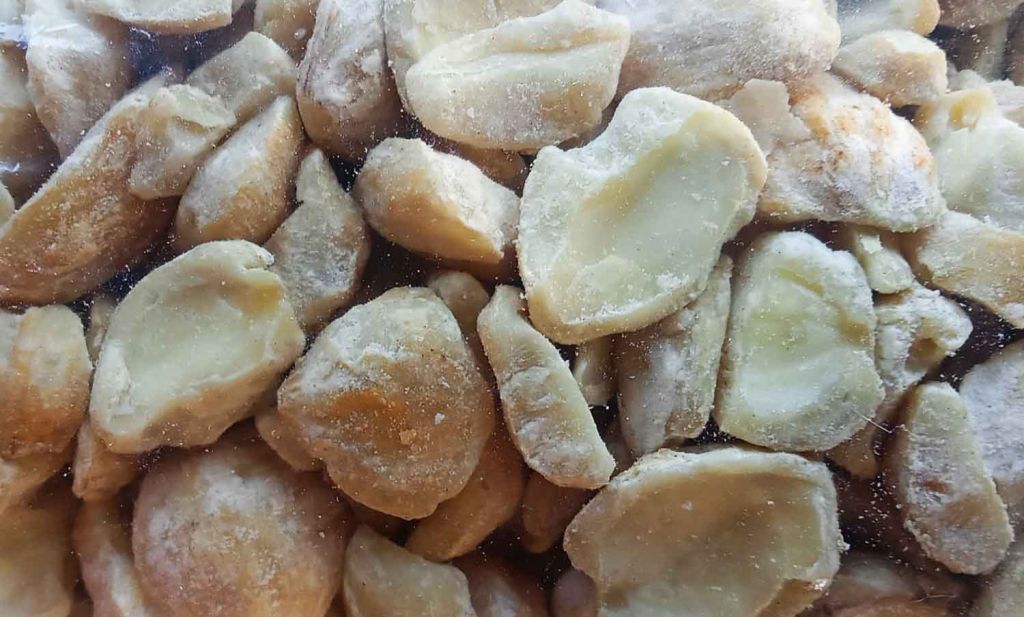 Ketersediaan kemiri di PIOS yang mulai menipis