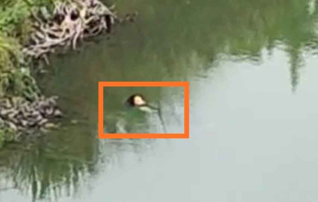 Korban ditemukan mengapung di Sungai Brantas