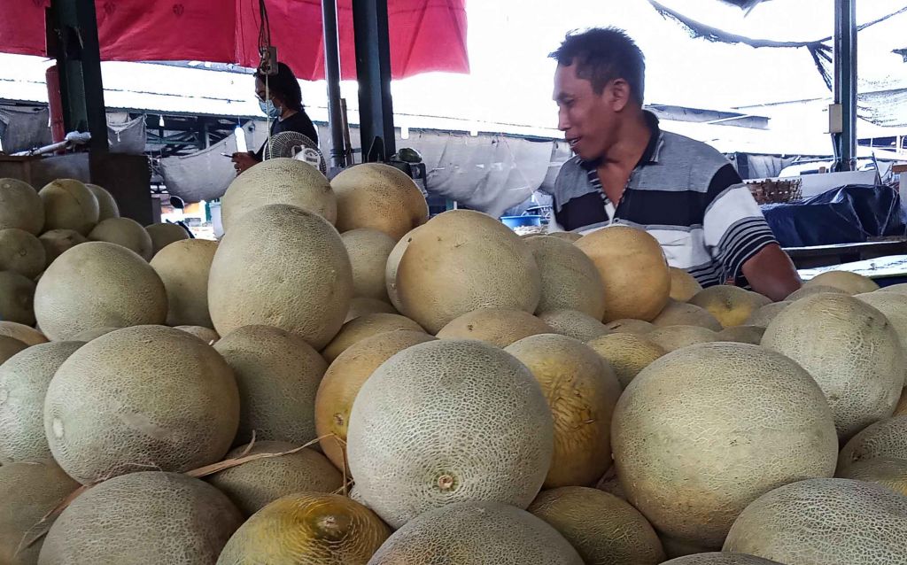 Buah melon melimpah di PIOS