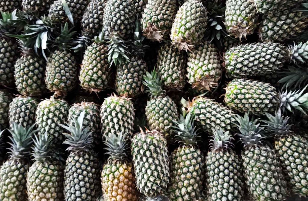 Buah nanas dari petani Kediri di PIOS