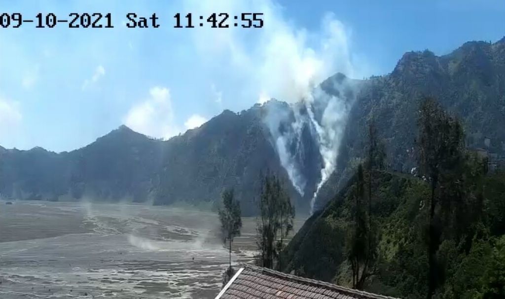 Kawasan hutan dan lereng penanjakan Gunung Bromo terbakar.