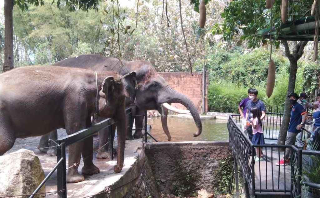 Anak di Bawah 12 Tahun Dibolehkan Masuk, Tempat Wisata Kota Batu Kembali Ramai