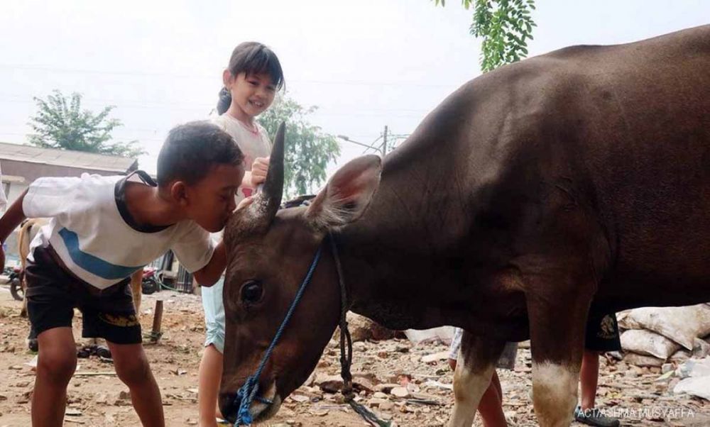 Anak-anak melihat sapi yang akan menjadi hewan kurban