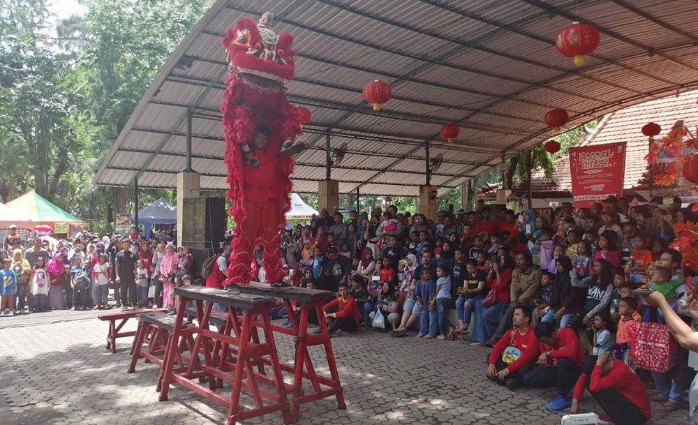 Pengelola KBS menggelar pertunjukan Barongsai untuk para pengunjung di Hari Raya Imlek